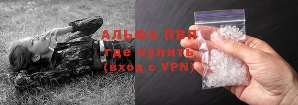 гашик Гусь-Хрустальный