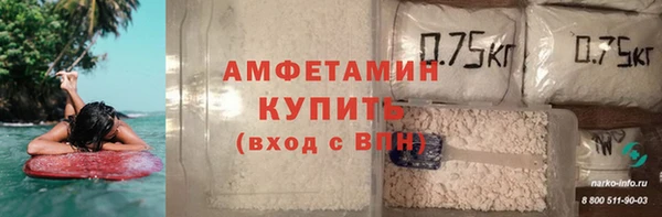 гашик Гусь-Хрустальный