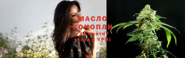 гашик Гусь-Хрустальный