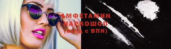 гашик Гусь-Хрустальный