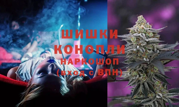 ALPHA PVP Гусев