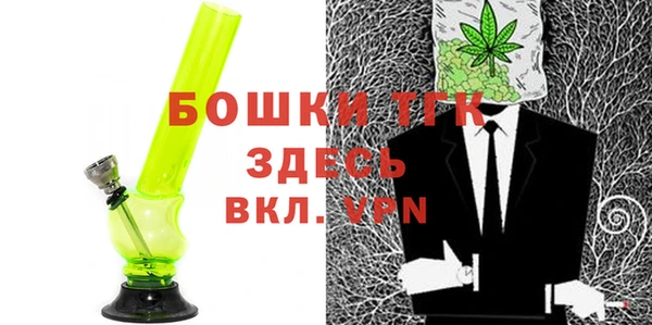 гашик Гусь-Хрустальный