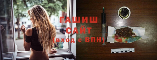 гашик Гусь-Хрустальный