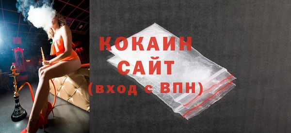 гашик Гусь-Хрустальный