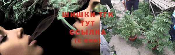 ALPHA PVP Гусев