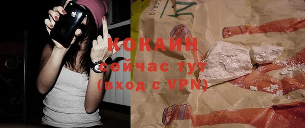 гашик Гусь-Хрустальный