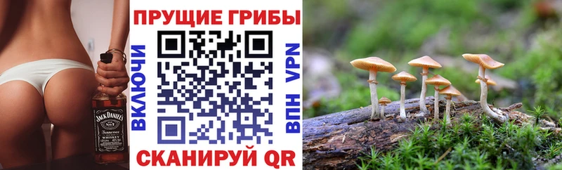 Галлюциногенные грибы прущие грибы  Няндома 