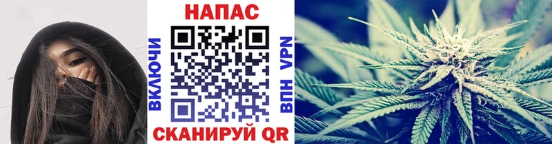 Бошки Шишки OG Kush Няндома